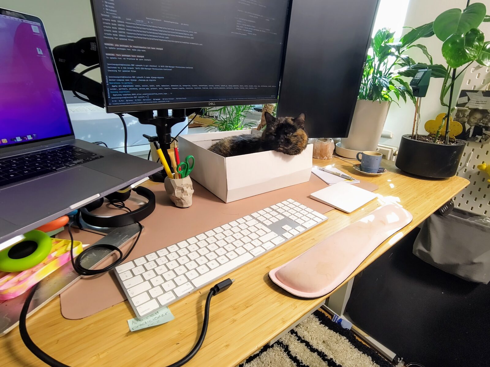 Jessie's work from home station, including her cat lounging in a box on the desk.