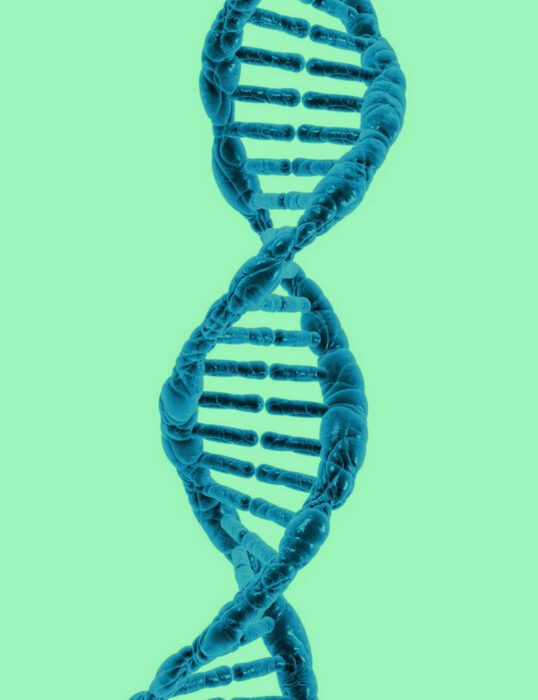 The double helix of a strand of DNA.