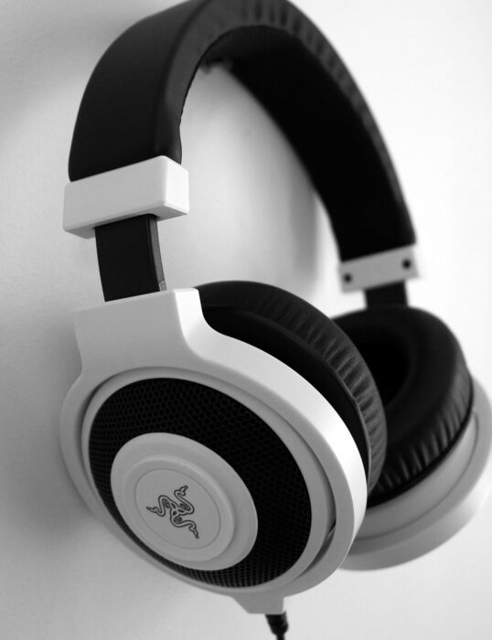 A pair of headphones.