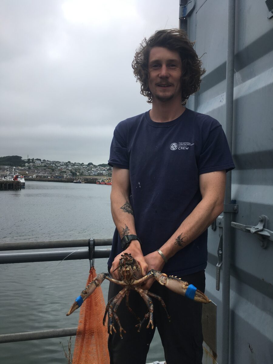 Theo posing for a photo at the coast, holding a lobster.