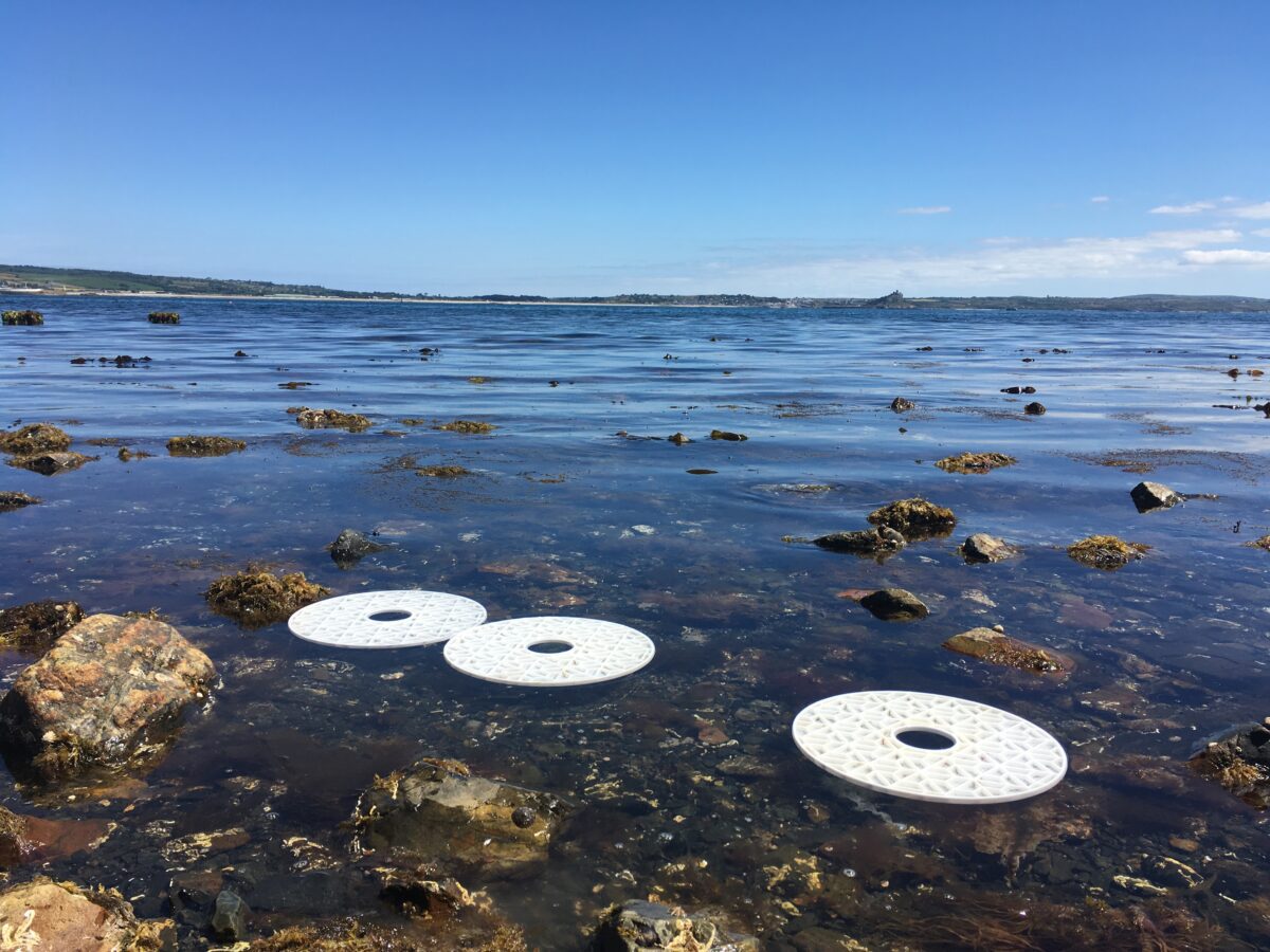 A coastal water environment.