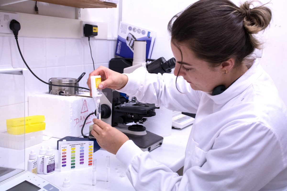Heather in the lab, wearing a lab coat, preparing specimens to look at under a microscope.