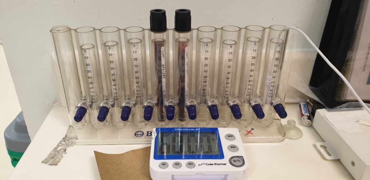 Test tubes containing liquids, next to a timer.