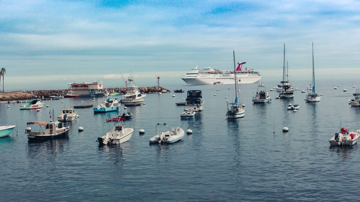 A harbour, with many yachts docked.