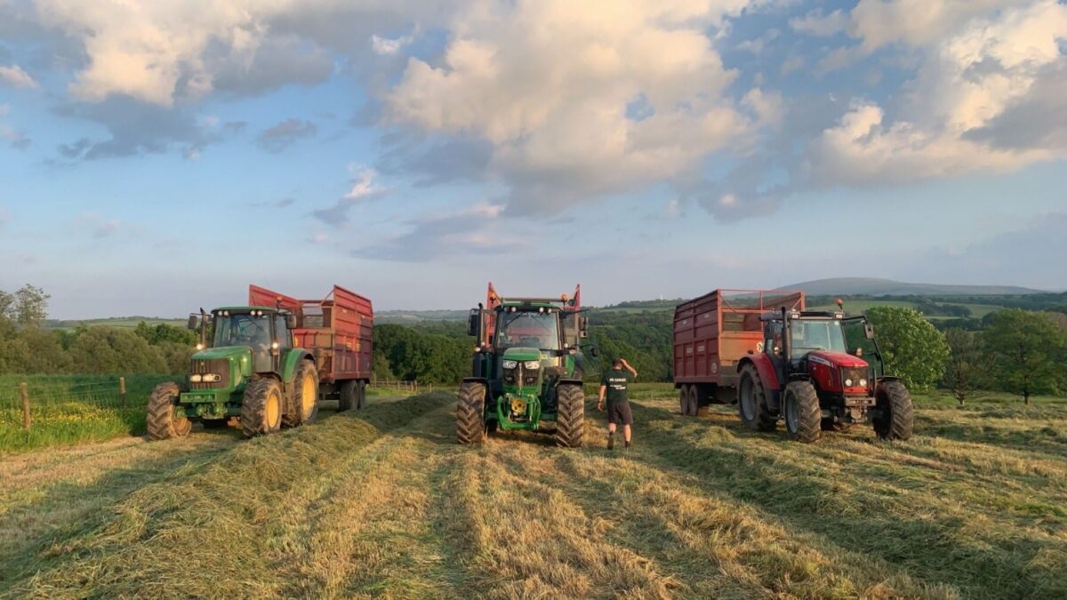 Three tractors in a field.