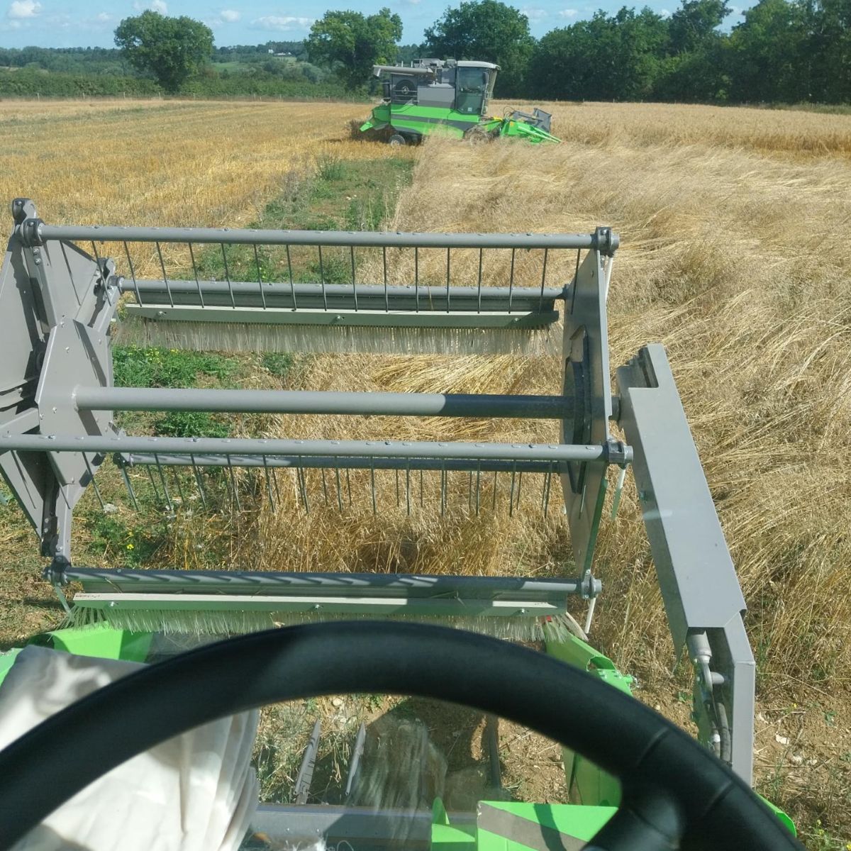 Rebecca's point of view as she's driving the combine harvester through a field of wheat.