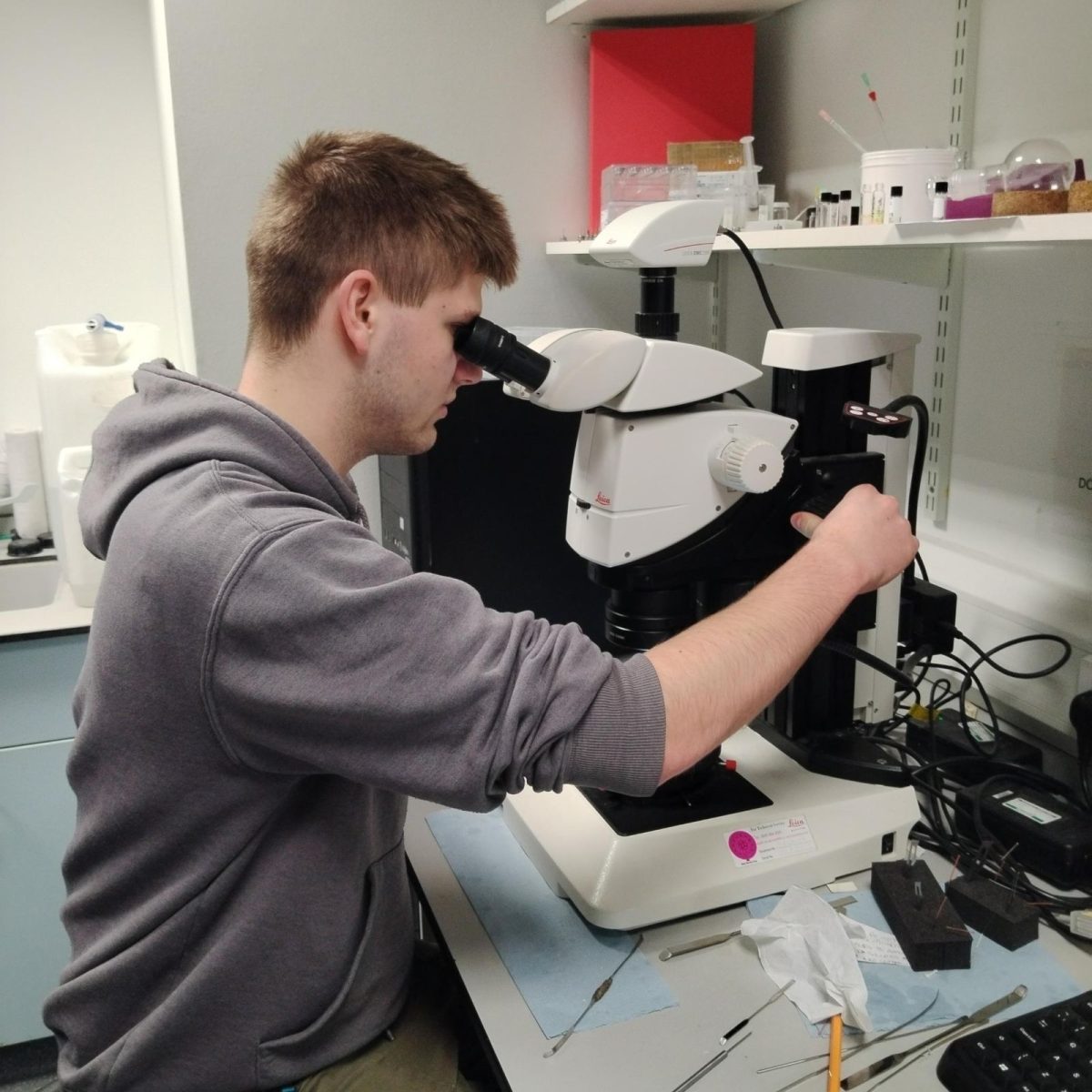 Owen looking at a sample through a microscope.