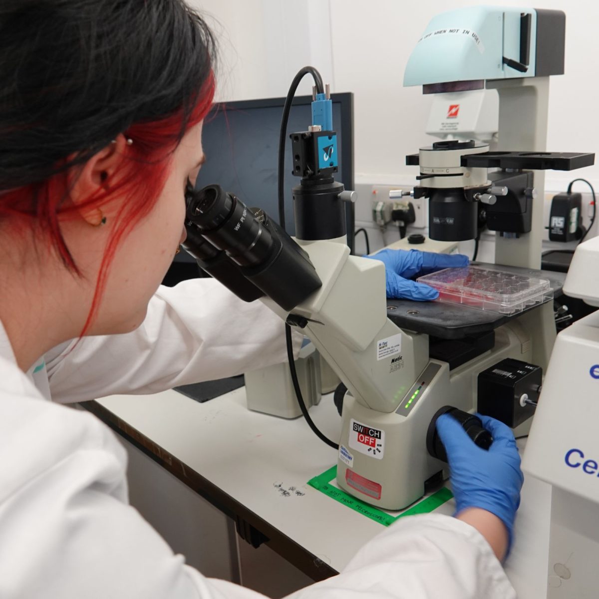 Research Laboratory Technician Oliwia in the lab, wearing a lab coat and gloves, looking at a sample through a microscope.