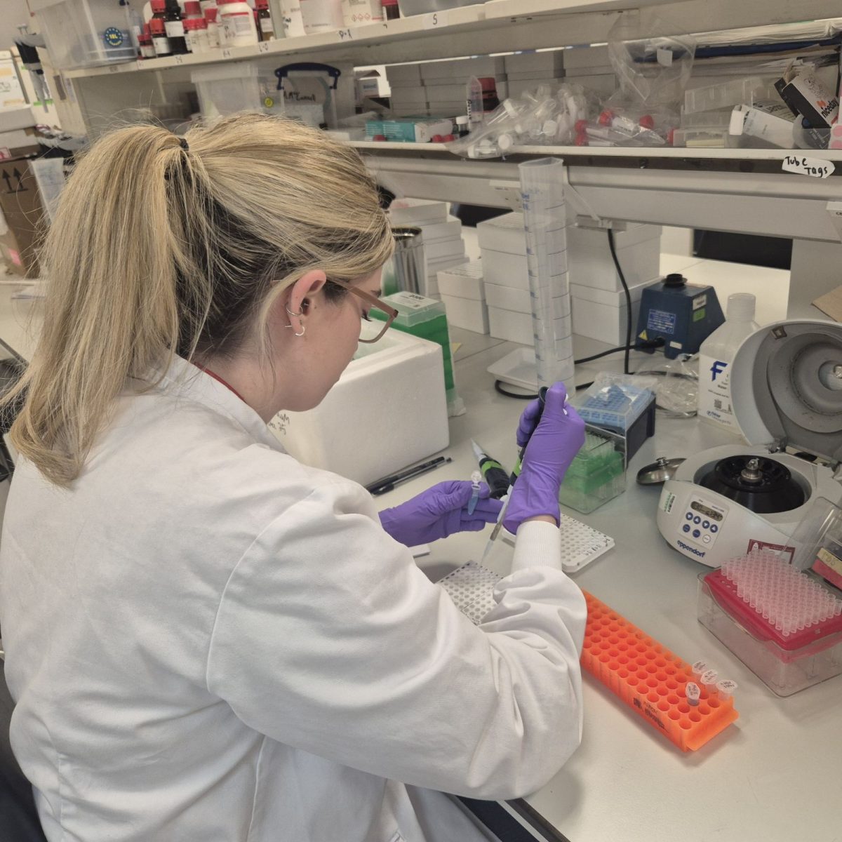 University technician Taylor in the lab, wearing a lab coat and gloves, measuring out liquids into test tubes, using a micropipette.