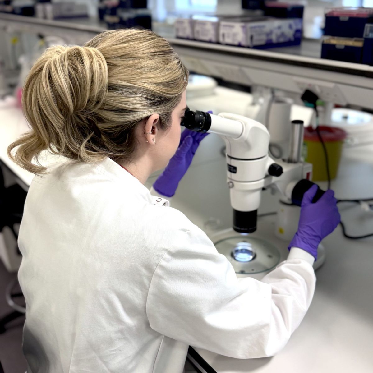 University technician Taylor in the lab, wearing a lab coat and gloves, looking through a microscope at a sample.