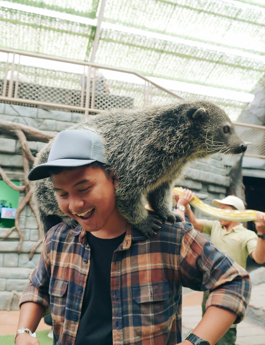 Man Laughing with Binturong on His Shoulders