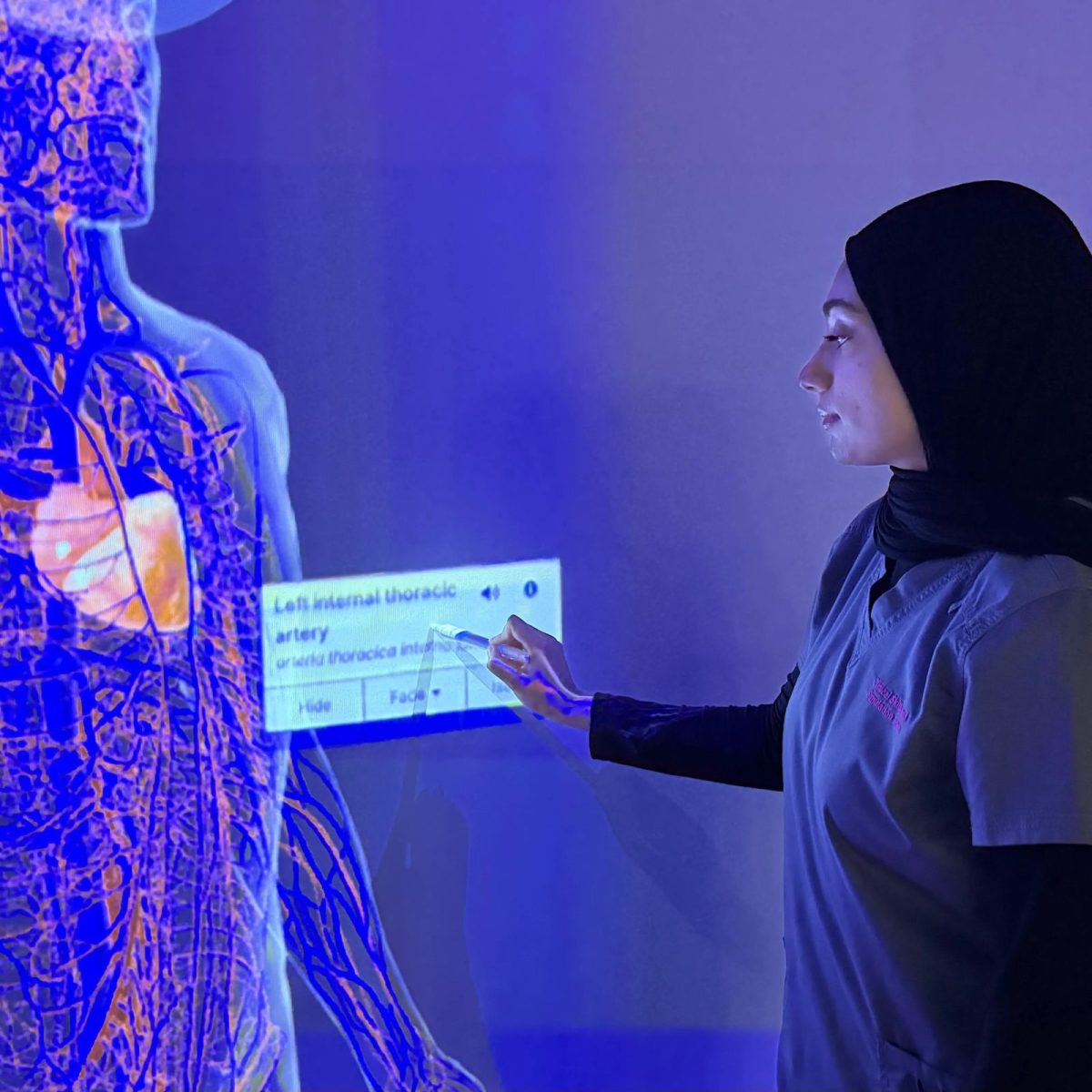 Simulation Technician Aliya, selecting an option on an large interactive projection of a circulatory system.